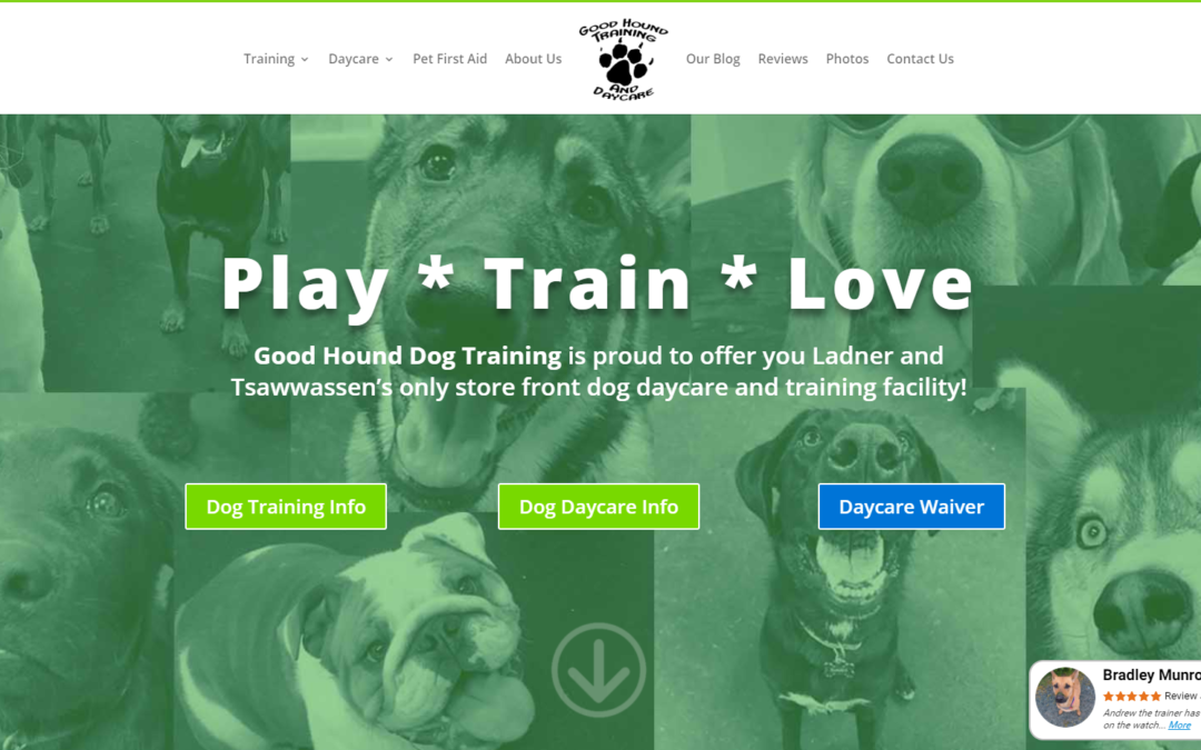 GoodHound Dog Training
